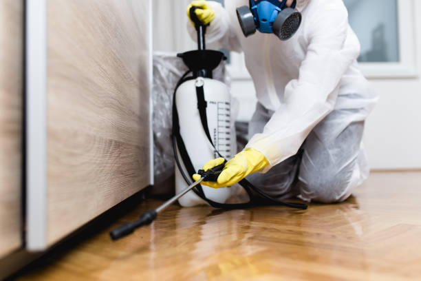 Wildlife Control Services in Troy, NY