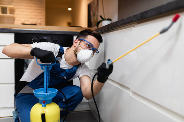 Best Wasp Removal Services  in Troy, NY