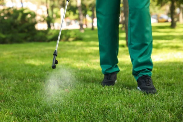 Best Best Pest Control Companies  in Troy, NY
