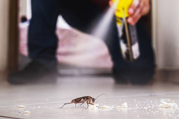 Pest Control for Restaurants in Troy, NY