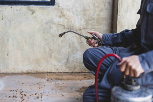 Best Residential Pest Control  in Troy, NY